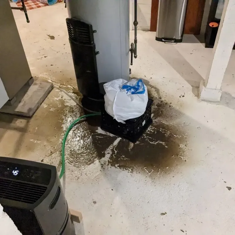 Sewage Backup Cleanup Service in Mount Sterling, OH